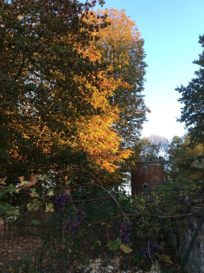 Boutigny L'Orme Des Voyageurs B&B 외부 사진