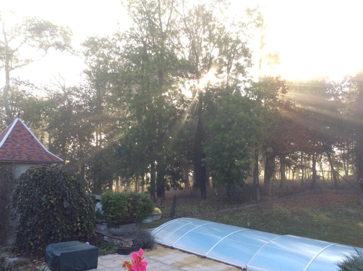 Boutigny L'Orme Des Voyageurs B&B 외부 사진